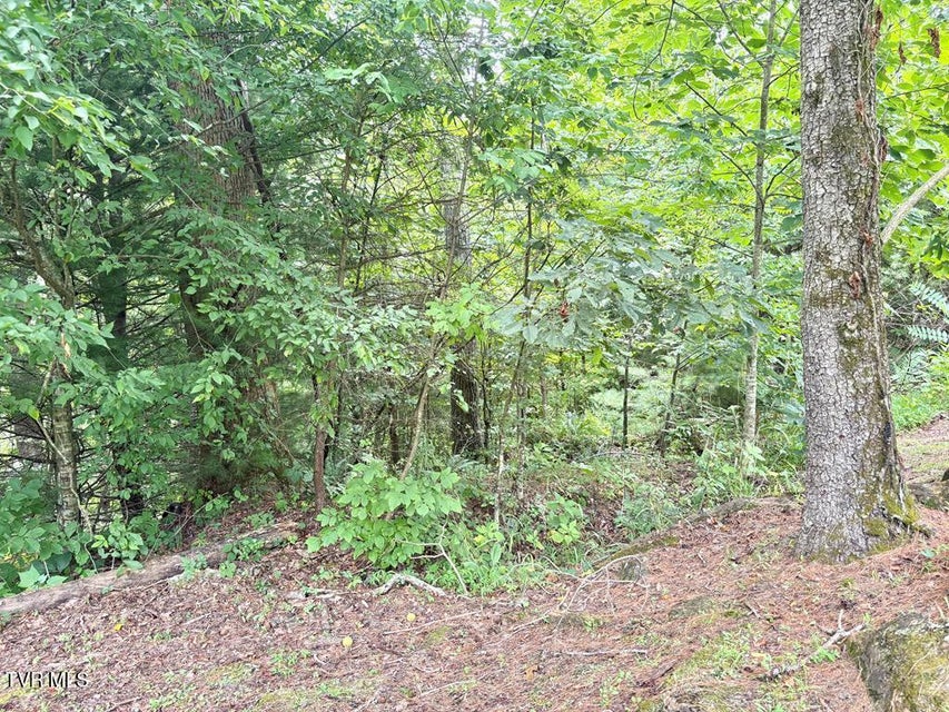 Photo #14: Lot 30 Rock Island 