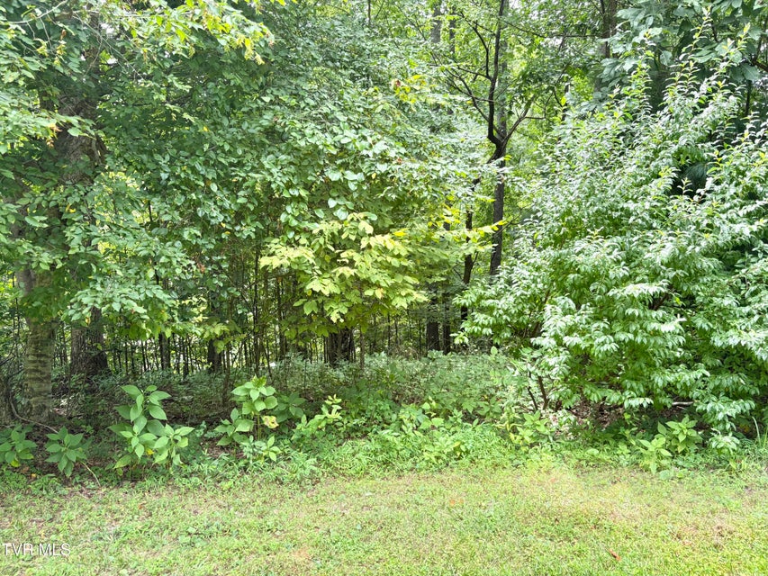Photo #22: Lot 14 Diamond Point Drive