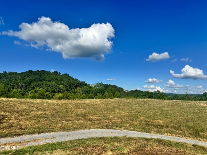 Photo #9: 1430 Roaring Fork Road