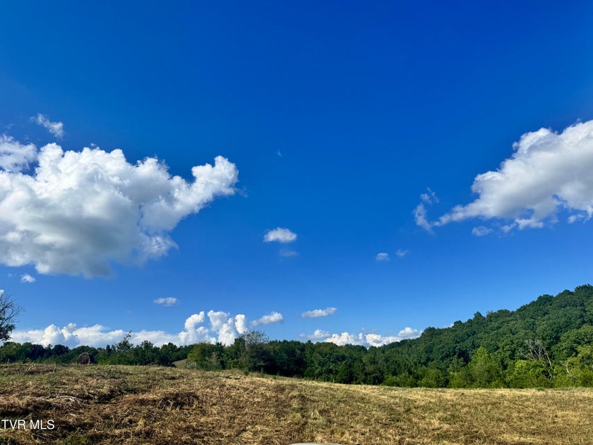 Photo #10: 1430 Roaring Fork Road