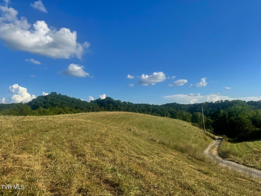 Photo #21: 1430 Roaring Fork Road