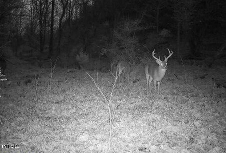 Photo #7: 1430 Roaring Fork Road