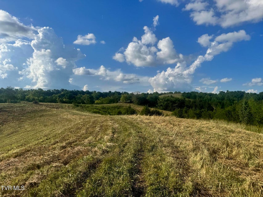 Photo #23: 1430 Roaring Fork Road