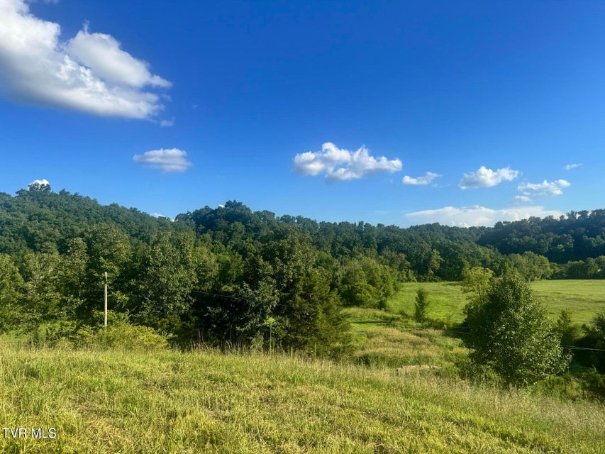 Photo #25: 1430 Roaring Fork Road