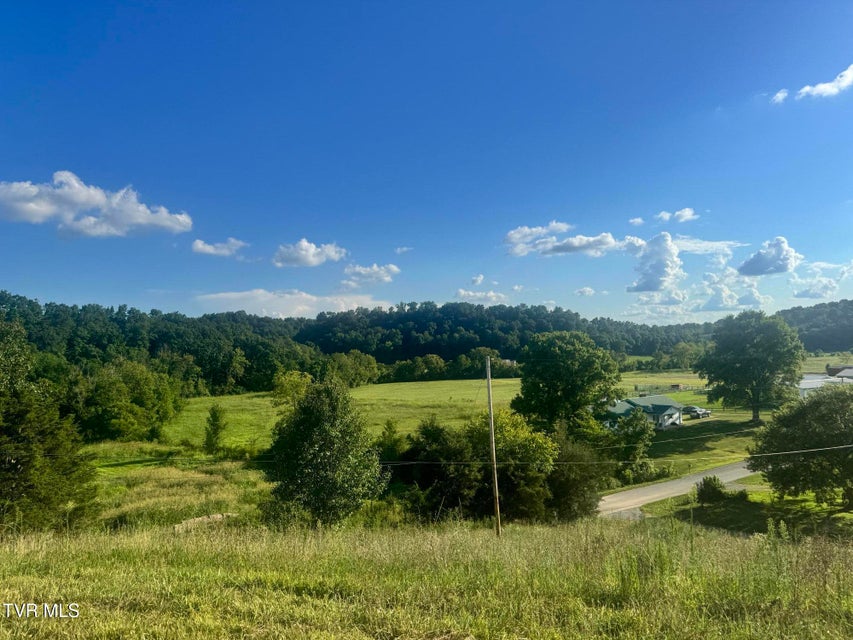 Photo #6: 1430 Roaring Fork Road