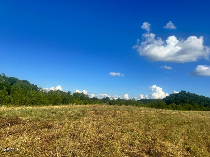 Photo #34: 1430 Roaring Fork Road