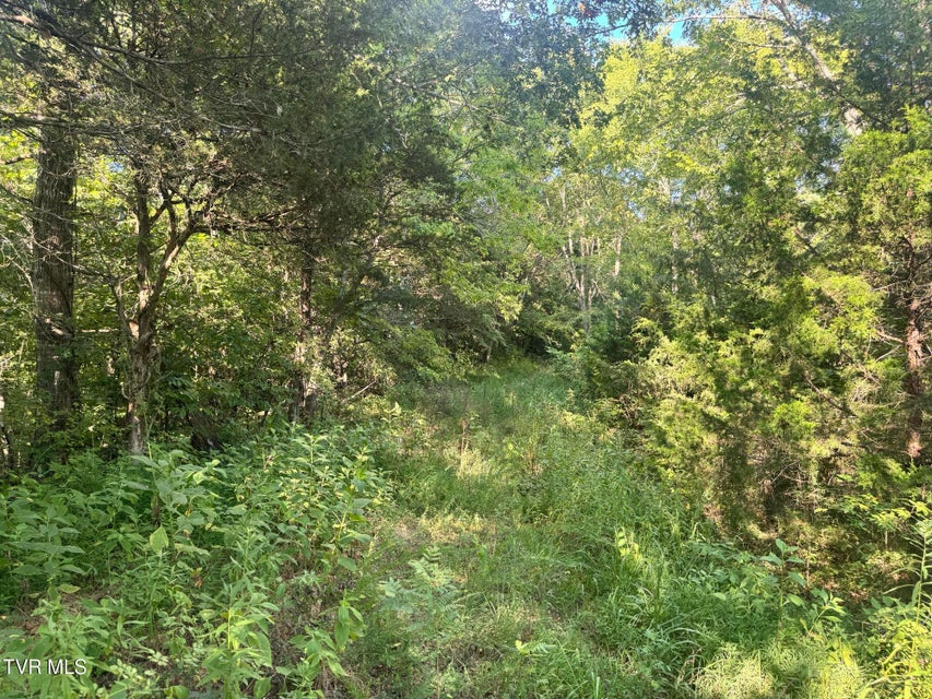 Photo #41: 1430 Roaring Fork Road