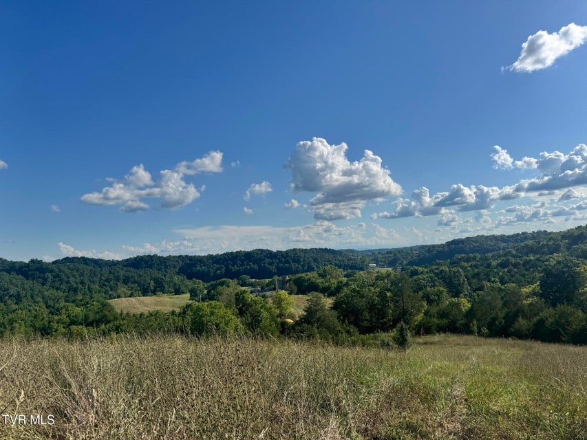 Photo #5: 1430 Roaring Fork Road