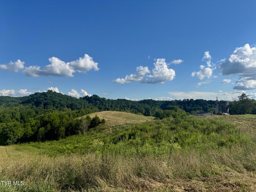 Photo #4: 1430 Roaring Fork Road