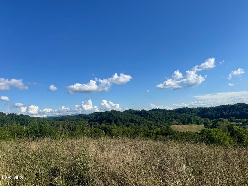 Photo #3: 1430 Roaring Fork Road