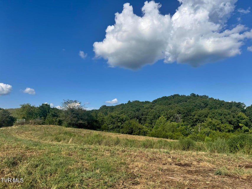 Photo #49: 1430 Roaring Fork Road