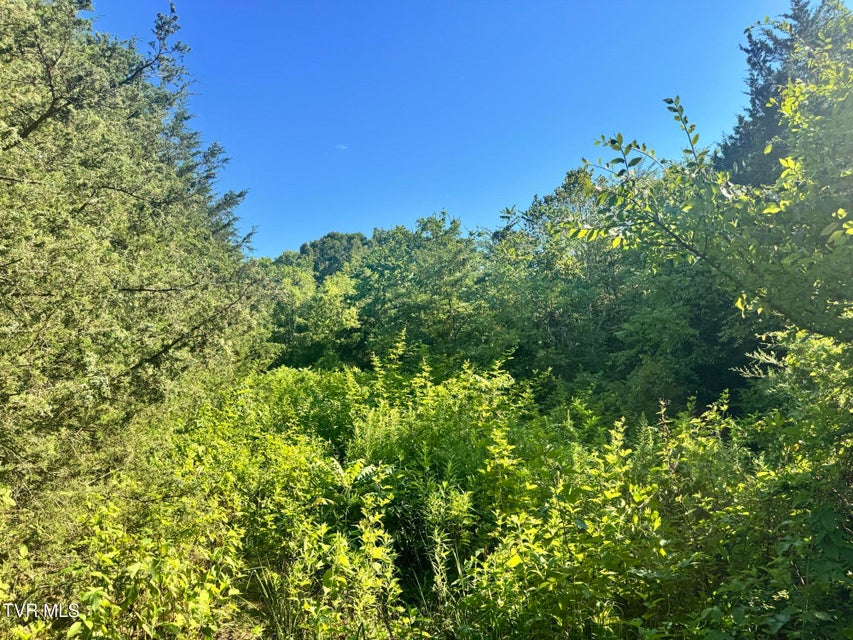 Photo #54: 1430 Roaring Fork Road