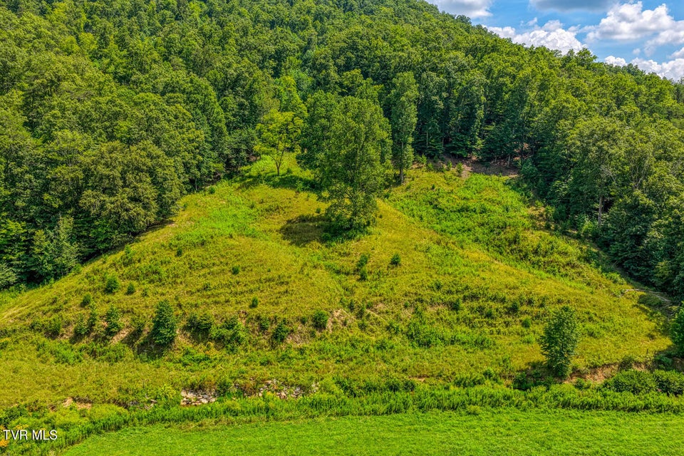 Photo #23: 1144 Poor Valley Road