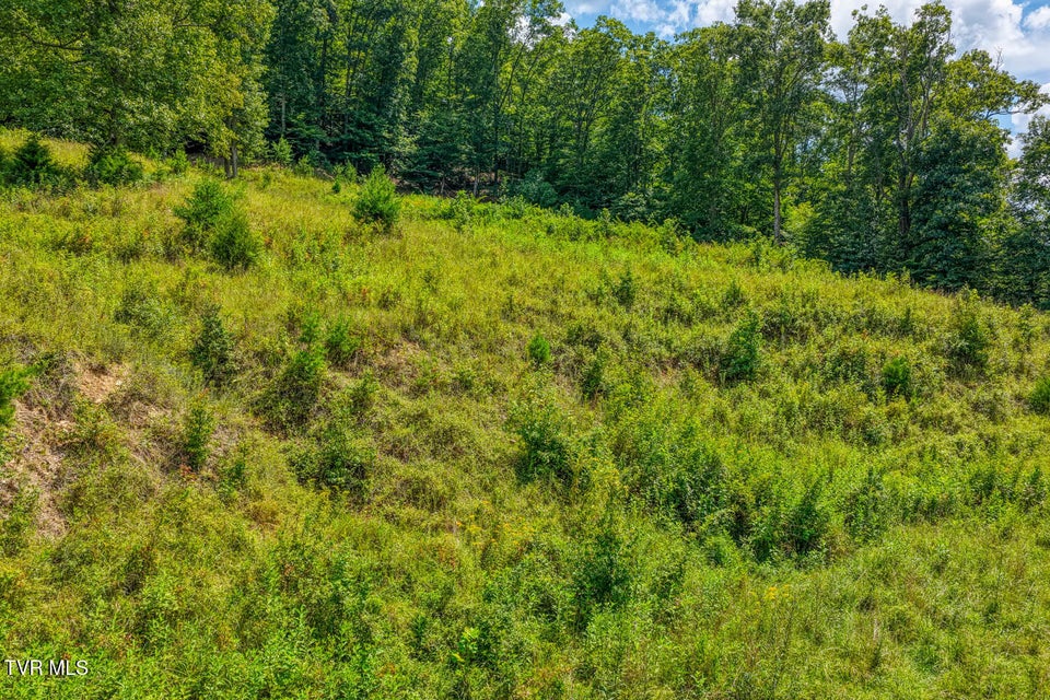 Photo #29: 1144 Poor Valley Road