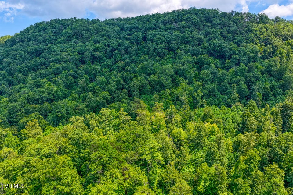 Photo #33: 1144 Poor Valley Road