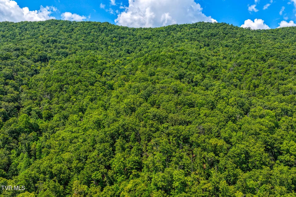 Photo #36: 1144 Poor Valley Road