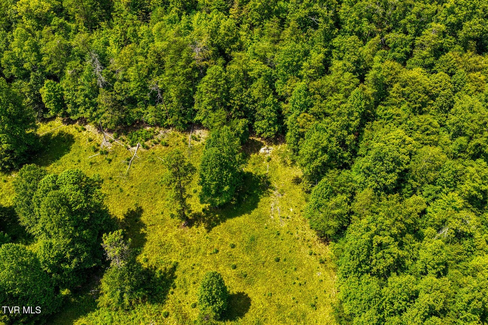 Photo #37: 1144 Poor Valley Road