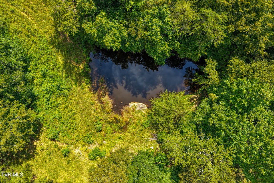 Photo #42: 1144 Poor Valley Road