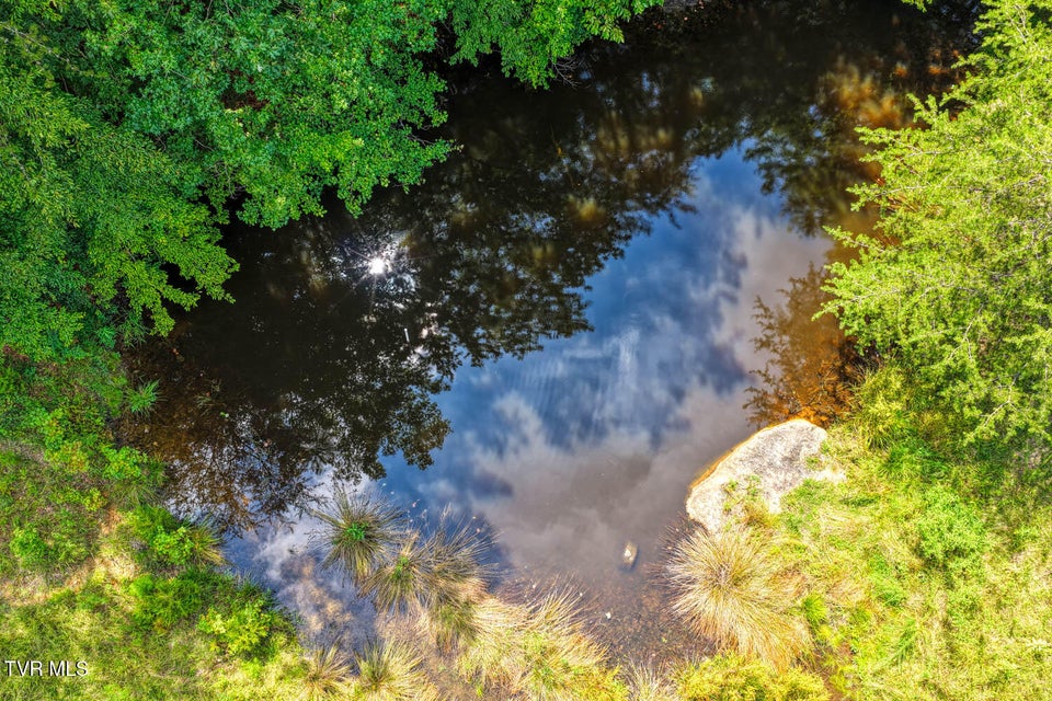 Photo #44: 1144 Poor Valley Road