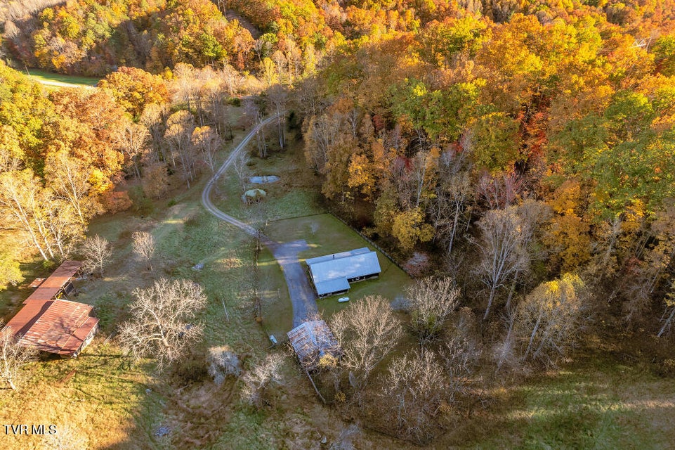 Photo #11: 437 Still House Hollow Road