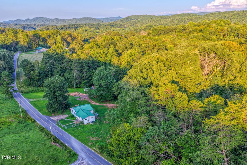 Photo #20: 337 Tarpine Valley Road