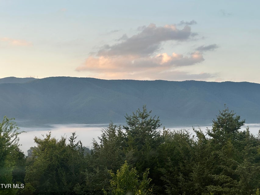 Photo #83: 456 Greystone Road