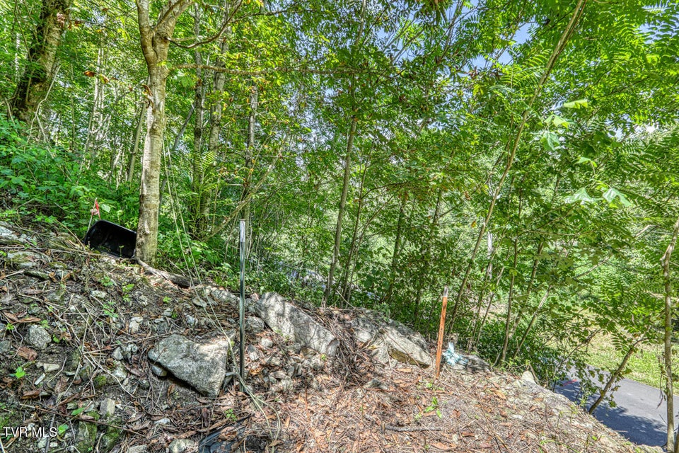 Photo #63: 4026 Horton Ford Road