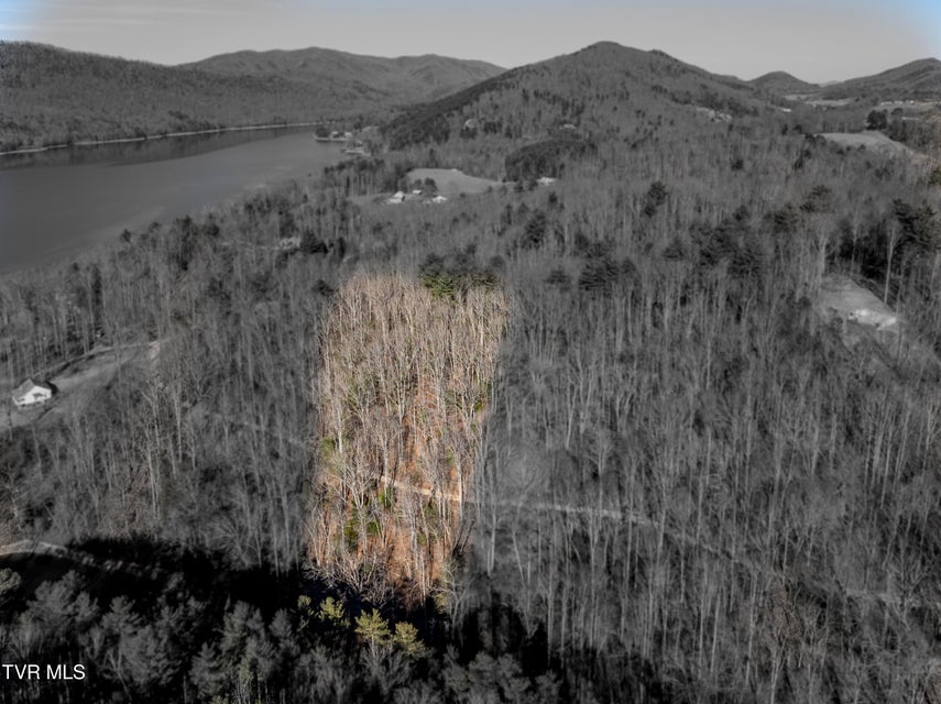 Photo #9: Tbd Atwood Point