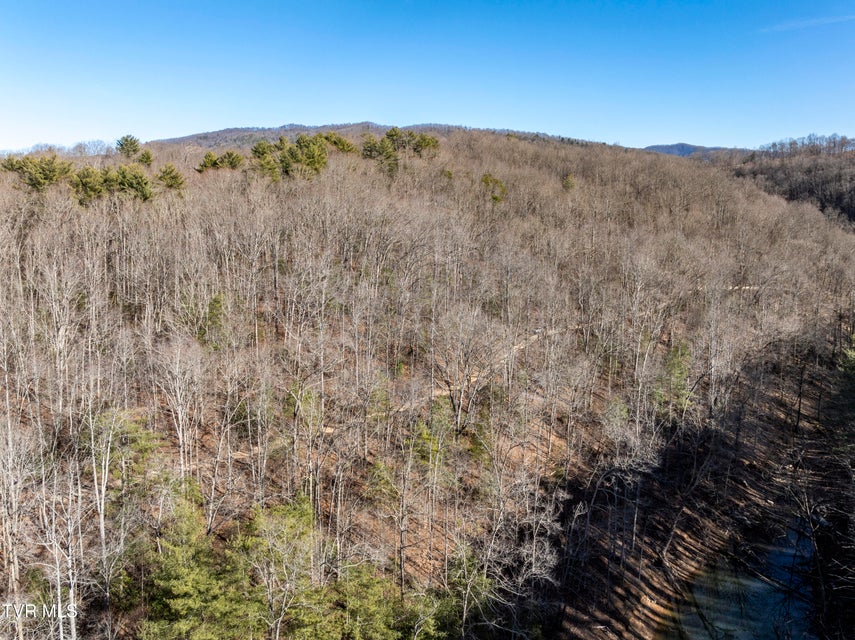 Photo #21: Tbd Atwood Point