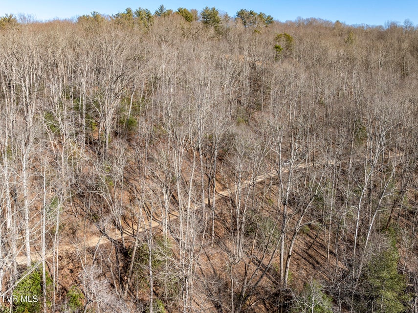 Photo #23: Tbd Atwood Point