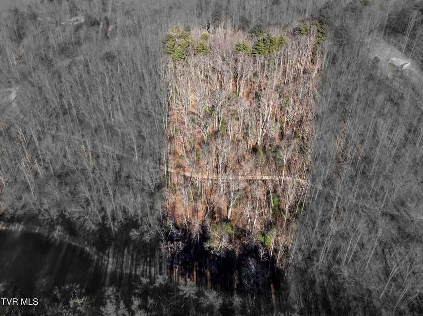 Photo #24: Tbd Atwood Point