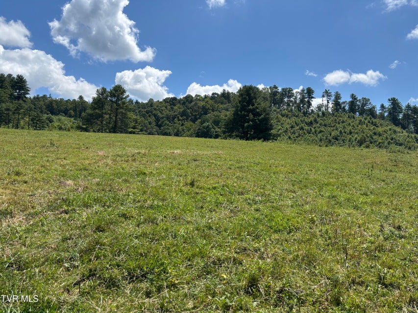 Photo #9: Tbd Jenkins Hollow Road