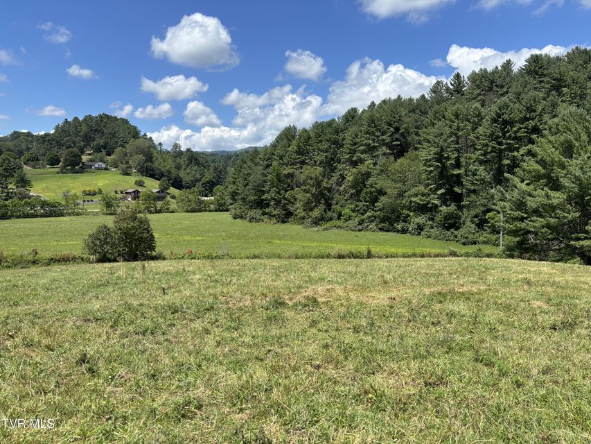 Photo #11: Tbd Jenkins Hollow Road