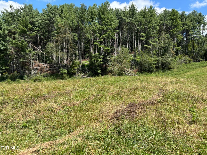 Photo #17: Tbd Jenkins Hollow Road