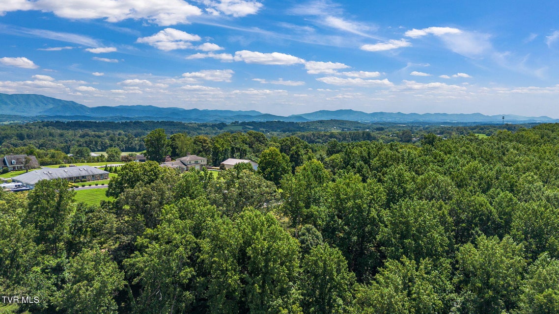 Photo #55: 1216 Upland Avenue