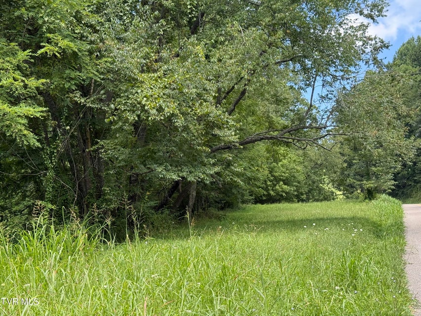Photo #8: 000 Long Hollow Road