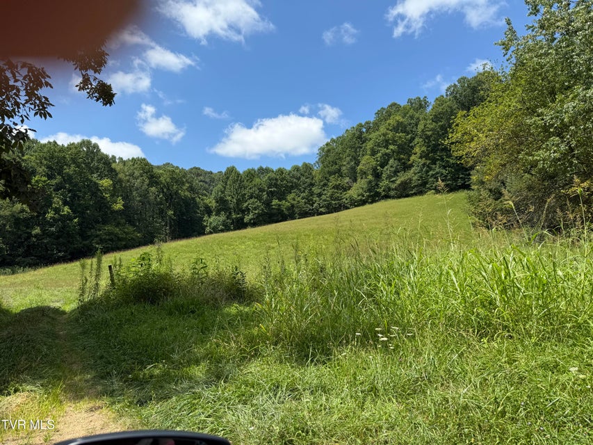 Photo #7: 000 Long Hollow Road