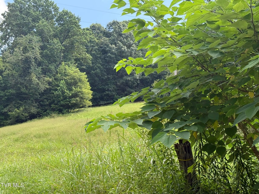 Photo #9: 000 Long Hollow Road