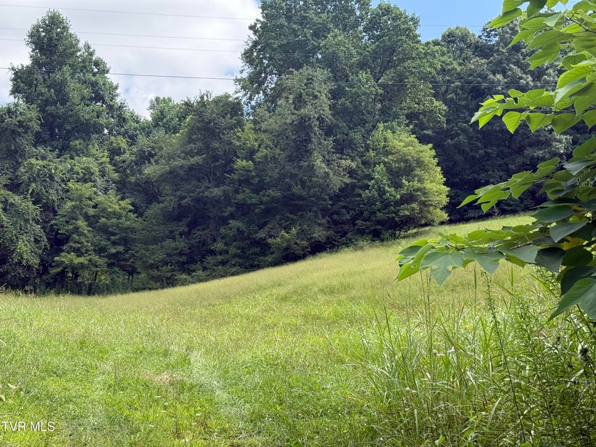 Photo #14: 000 Long Hollow Road