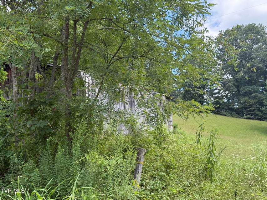 Photo #11: 000 Long Hollow Road