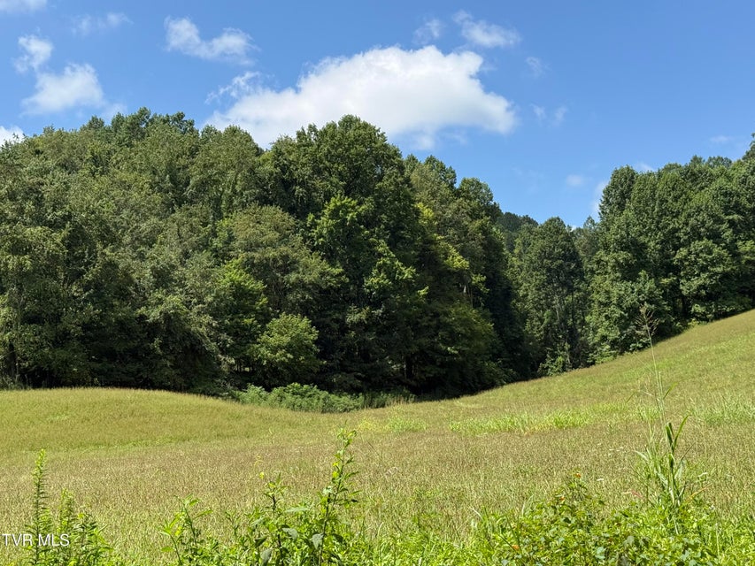 Photo #10: 000 Long Hollow Road