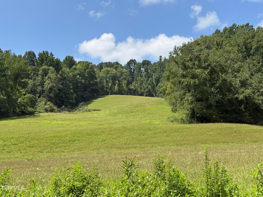 Photo #6: 000 Long Hollow Road