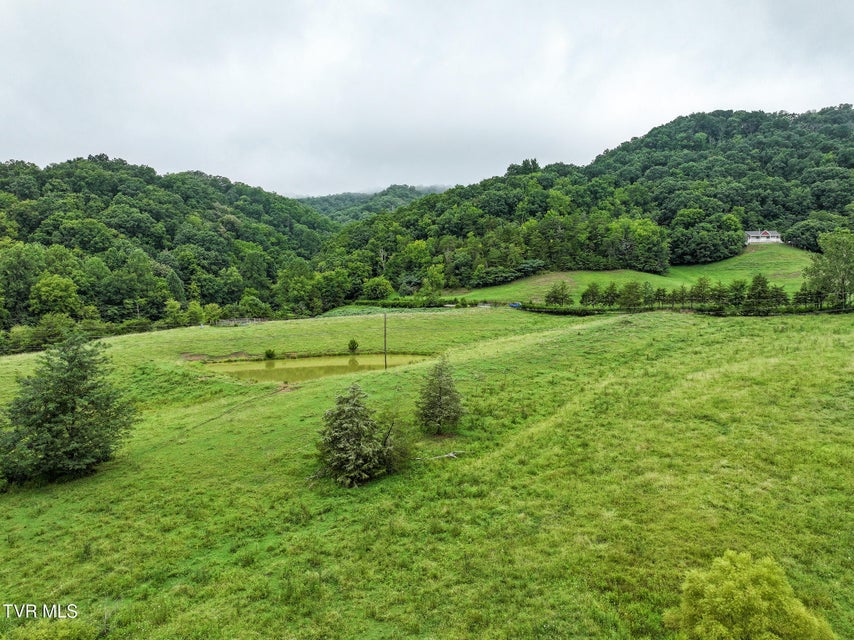 Photo #9: 19 Ac Fodderstack Mountain Loop