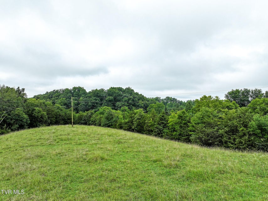 Photo #12: 19 Ac Fodderstack Mountain Loop