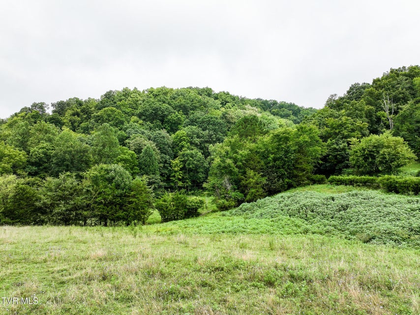 Photo #13: 19 Ac Fodderstack Mountain Loop