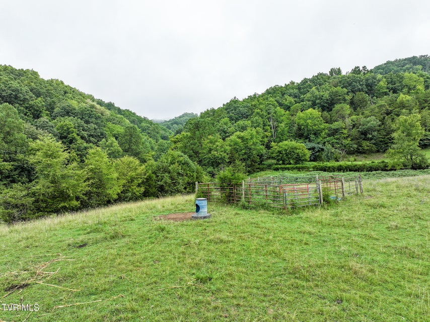 Photo #14: 19 Ac Fodderstack Mountain Loop
