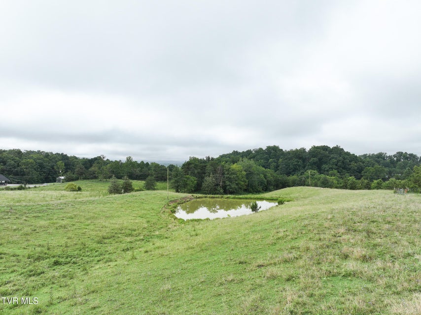 Photo #15: 19 Ac Fodderstack Mountain Loop