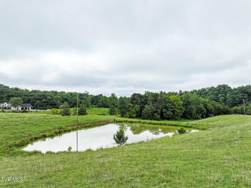 Photo #17: 19 Ac Fodderstack Mountain Loop