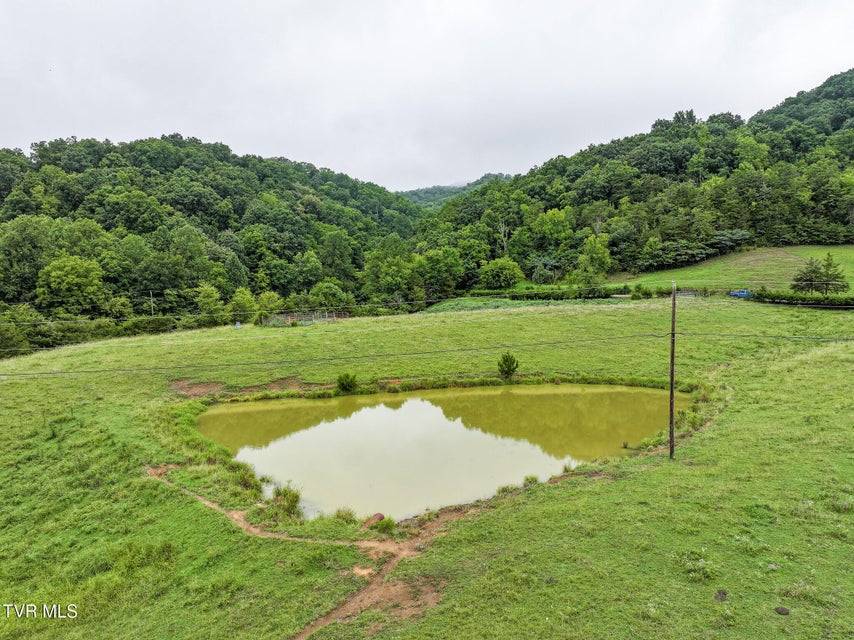Photo #18: 19 Ac Fodderstack Mountain Loop