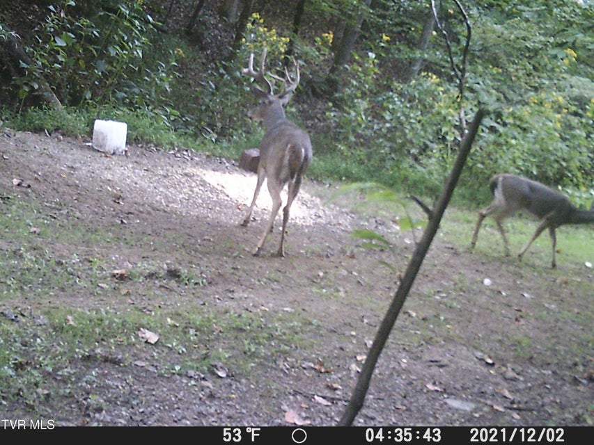 Photo #47: 5367 Clinch River Highway